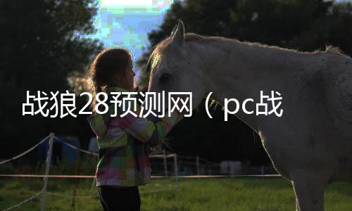 战狼28预测网(pc战狼28)